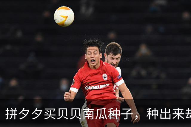 拼夕夕买贝贝南瓜种子，种出来却不是，网友：你这好歹是同款！